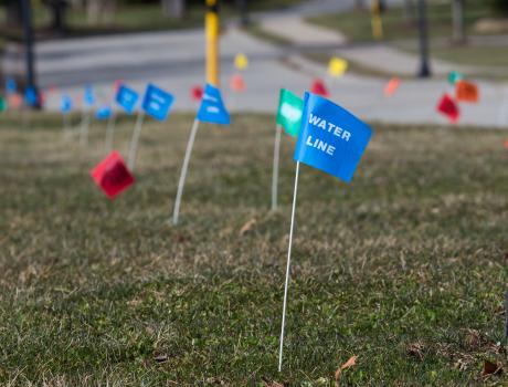 Utility Flags