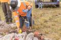 Radiodetection MRX SG Survey Grade Locator